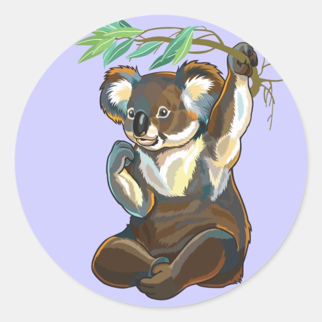 Sticker Rond koala (Devant)