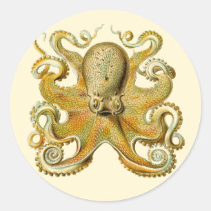 Sticker Rond Kraken vintage, Pieuvre Gamochonia, Ernst Haeckel