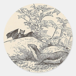 Sticker Rond La chauve-souris et le vison