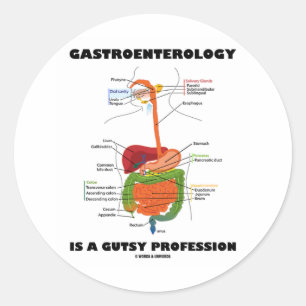 Sticker Rond La Gastroentérologie Est Une Profession Goutte