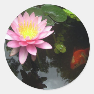 Sticker Rond La Lily et le poisson rouge