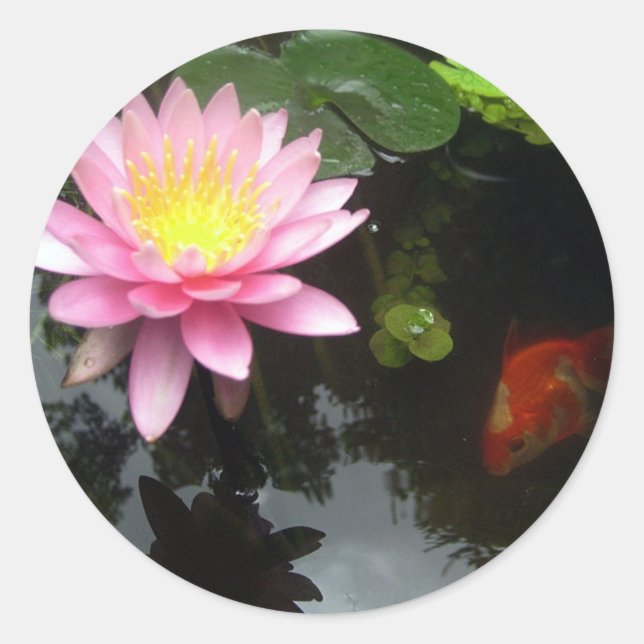 Sticker Rond La Lily et le poisson rouge (Devant)