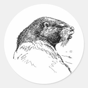 STICKER ROND LA LOUTRE