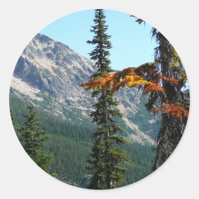 Sticker Rond La merveille de la nature (Devant)
