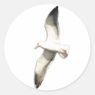 Sticker Rond La mouette montante de Helaine