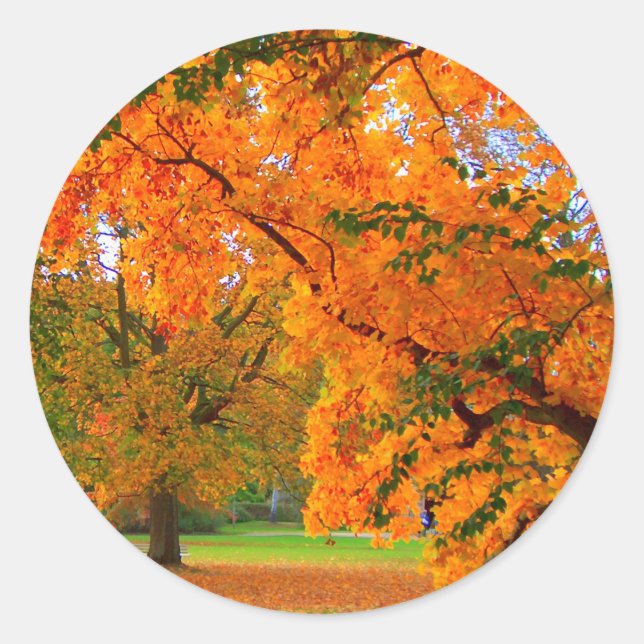 Sticker Rond La richesse de l'automne (Devant)