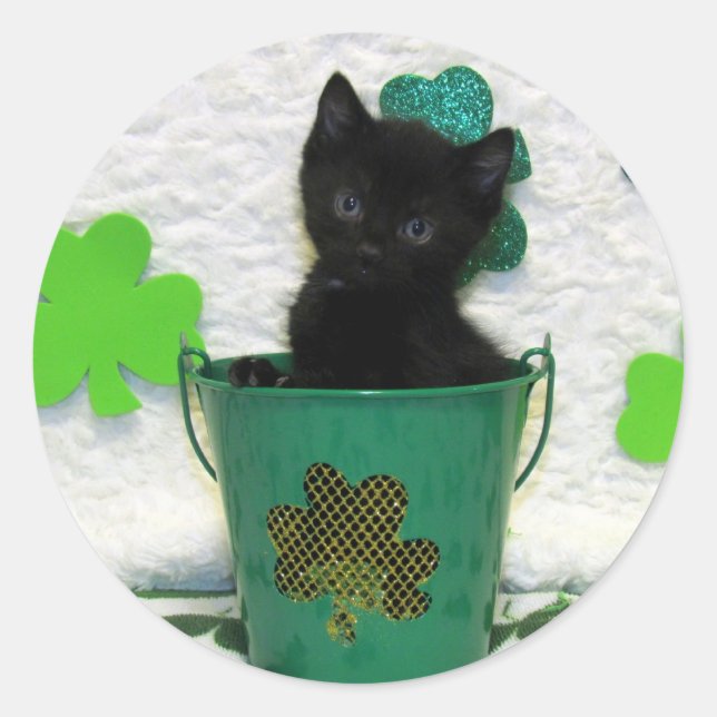 Sticker Rond La Saint-Patrick de Beau Jack - Chat / Chatons (Devant)