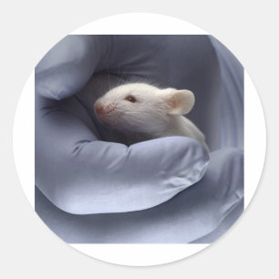 Sticker Rond La Science