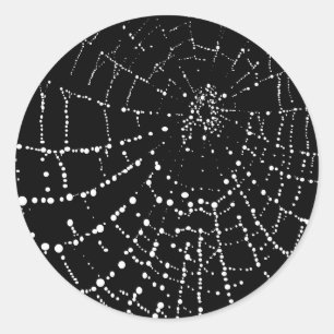 Sticker Rond La toile de l'araignée