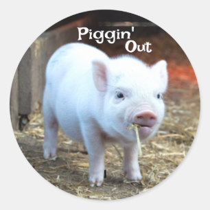 Sticker Rond La vie à la ferme de Piggin 'Out
