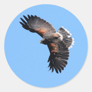 Sticker Rond La vue d'en haut