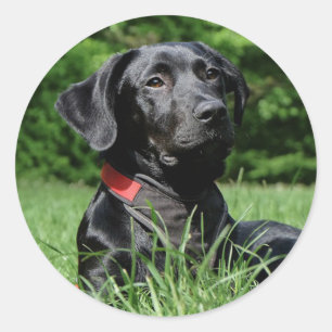Sticker Rond Laboratoire noir