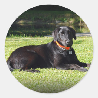 Sticker Rond Laboratoire noir
