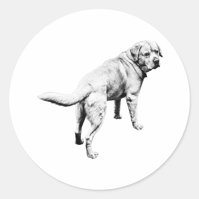 Sticker Rond Laboratoire Sur Épaule, Queue En Mouvement (Devant)