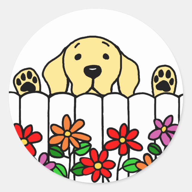 Sticker Rond Labrador jaune vous observant (Devant)