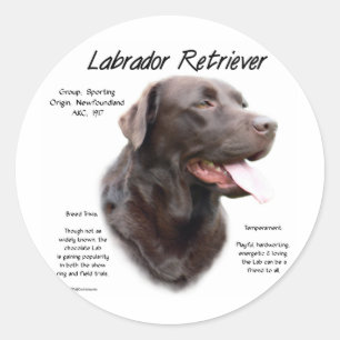 Sticker Rond Labrador Retriever (chocolat) Histoire Conception
