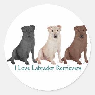Sticker Rond Labrador Retrievers - 3 couleurs à aimer