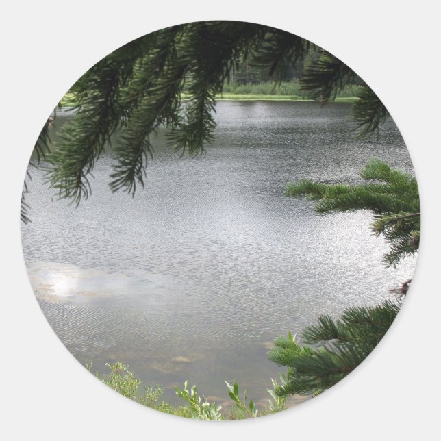 Sticker Rond Lac Silver encadré par Boughs À feuillage persista (Devant)