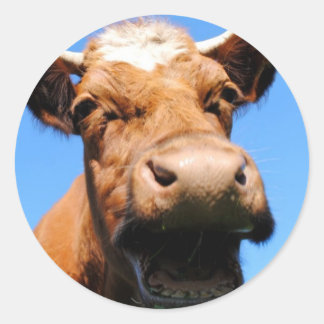 Sticker Rond Lachende Kuh