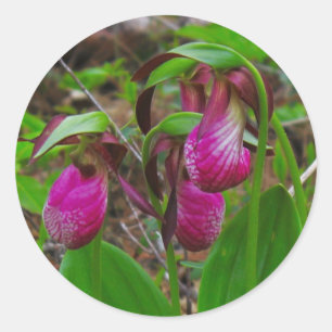Sticker Rond Lady Slipper