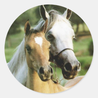 Sticker Rond L'amour de la mère