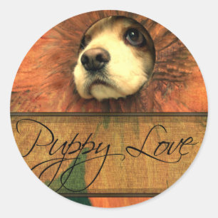 Sticker Rond L'amour des chiots à la recherche d'une clôture