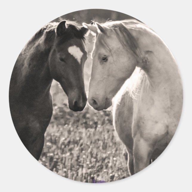 Sticker Rond L'amour du cheval (Devant)