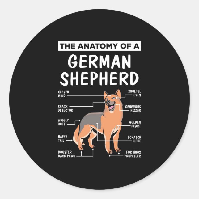 Sticker Rond L'Anatomie D'Un Berger Allemand (Devant)