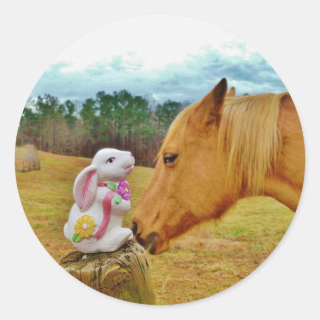 Sticker Rond Lapin blanc et Cheval jaune (Devant)