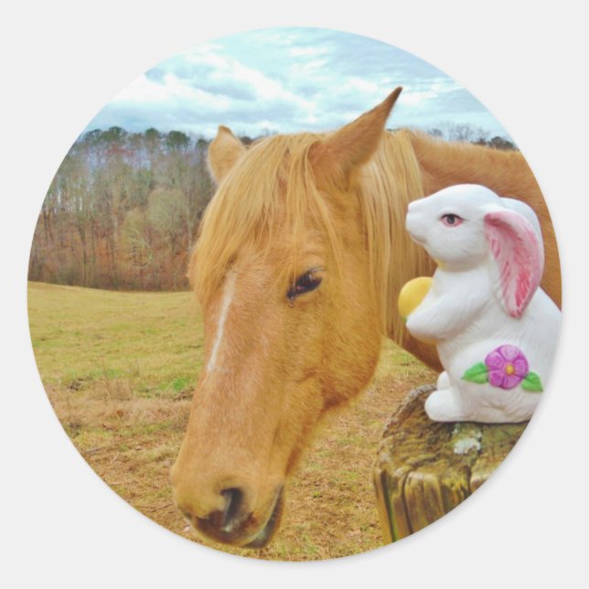 Sticker Rond Lapin blanc et cheval jaune blond (Devant)