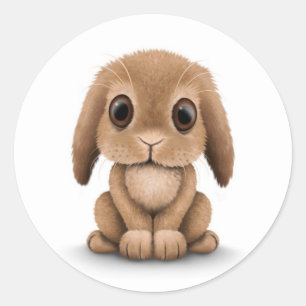 Sticker Rond Lapin Brown mignon de bébé sur le blanc