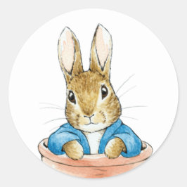 Sticker Rond Lapin de garenne