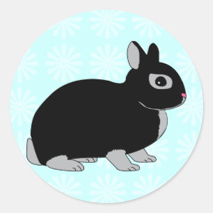 Sticker Rond Lapin nain de Netherland