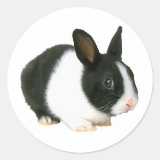 Sticker Rond Lapin noir et blanc