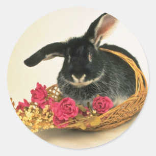 Sticker Rond Lapin renard argenté nommé Boris fleurs