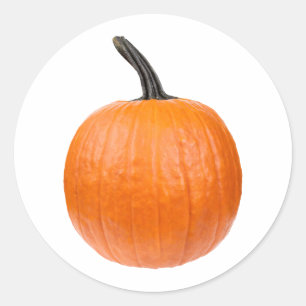 Sticker Rond Large Pumkin