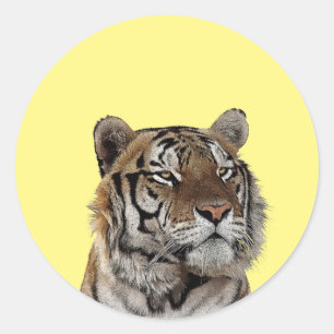 Sticker Rond l'art animal de la tête de tigre mâle