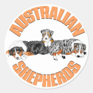 Sticker Rond L'Australien Shepherds l'autocollant