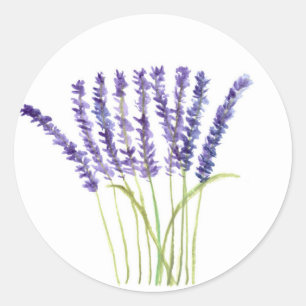 Sticker Rond Lavande d'aquarelle fleurs violettes herbes floral