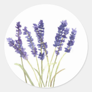 Sticker Rond Lavande fleurs lavande française aquarelle nature
