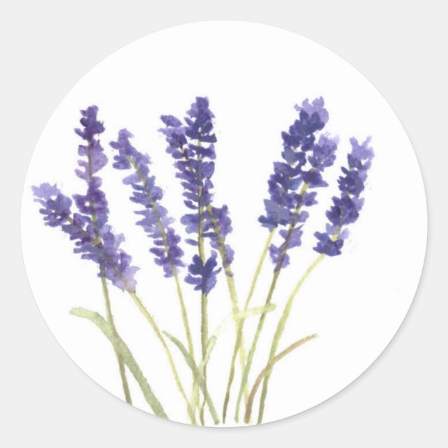 Sticker Rond Lavande fleurs lavande française aquarelle nature (Devant)