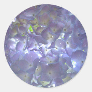Sticker Rond Lavender Hydrangeas fleurs violettes