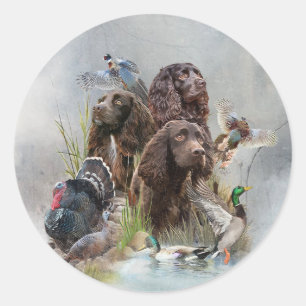 Sticker Rond Le Boykin Spaniel