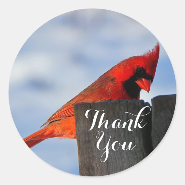 Sticker Rond Le cardinal rouge sur le Merci en bois (Devant)