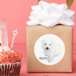 Sticker Rond Le chien maltais le plus mignon jamais