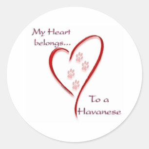 Sticker Rond Le coeur de Havanese appartient
