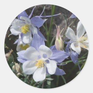 Sticker Rond Le Colorado colombin