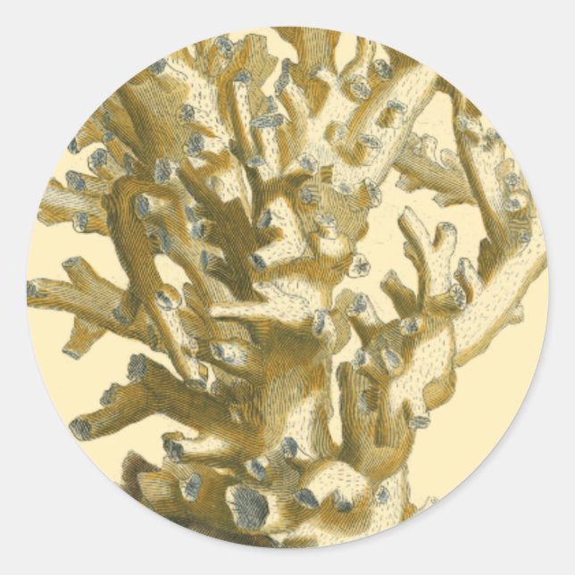 Sticker Rond Le corail de la mer (Devant)