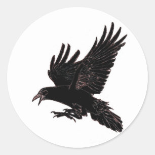 Sticker Rond Le freux