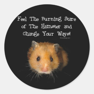 Sticker Rond Le Hamster